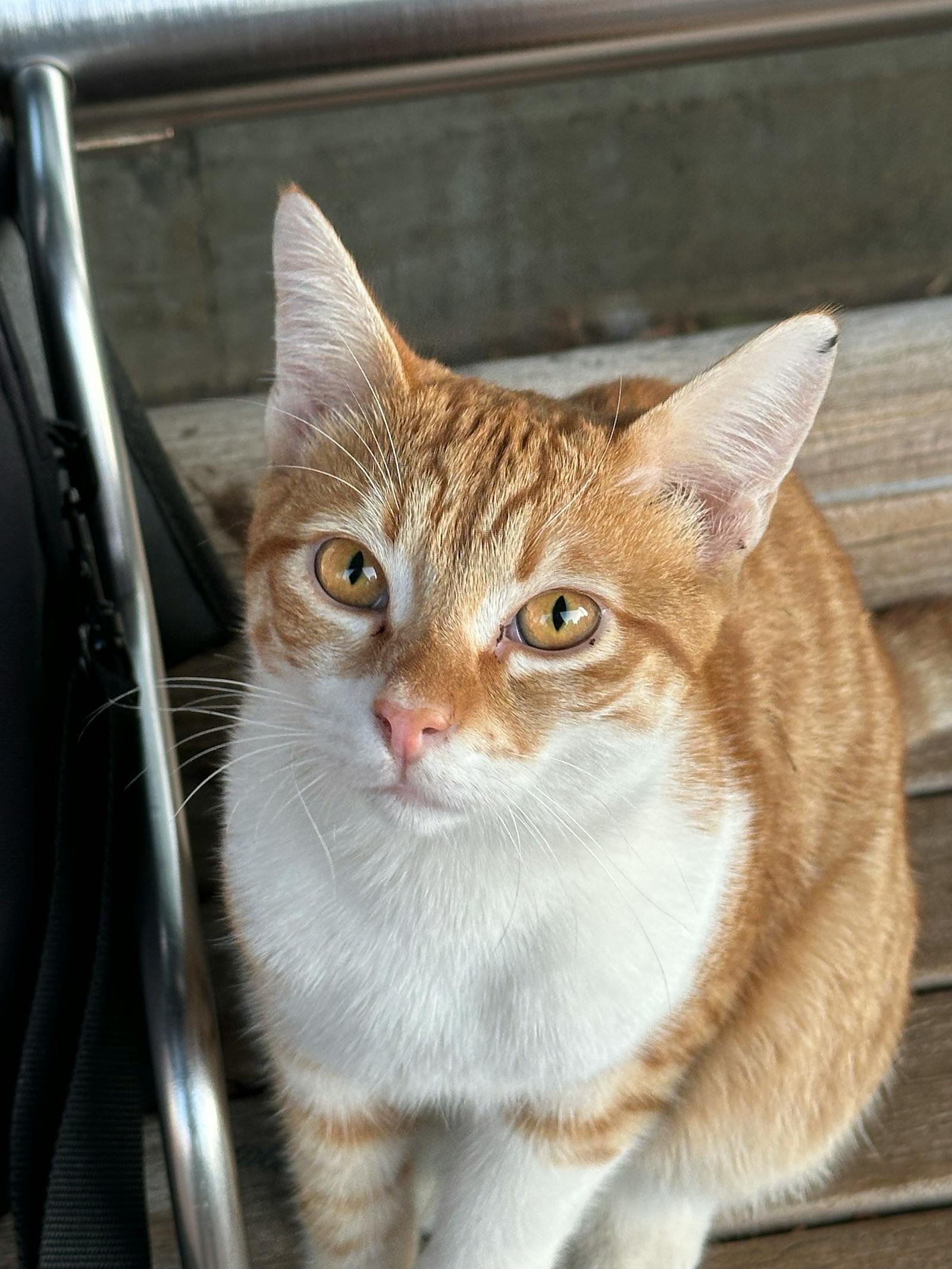Dark abandoned hotel corridor resembling a horror movie set
