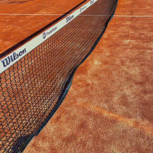 Balles de tennis (×3)