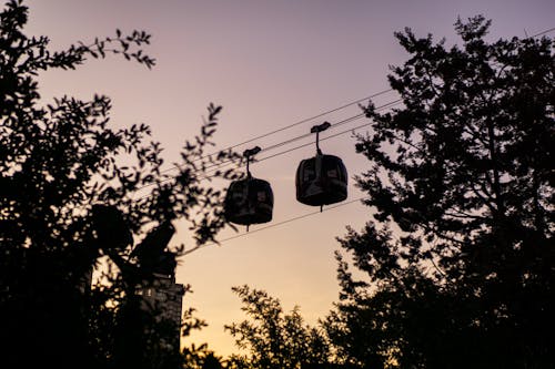 Free stock photo of cable cars, city, garden