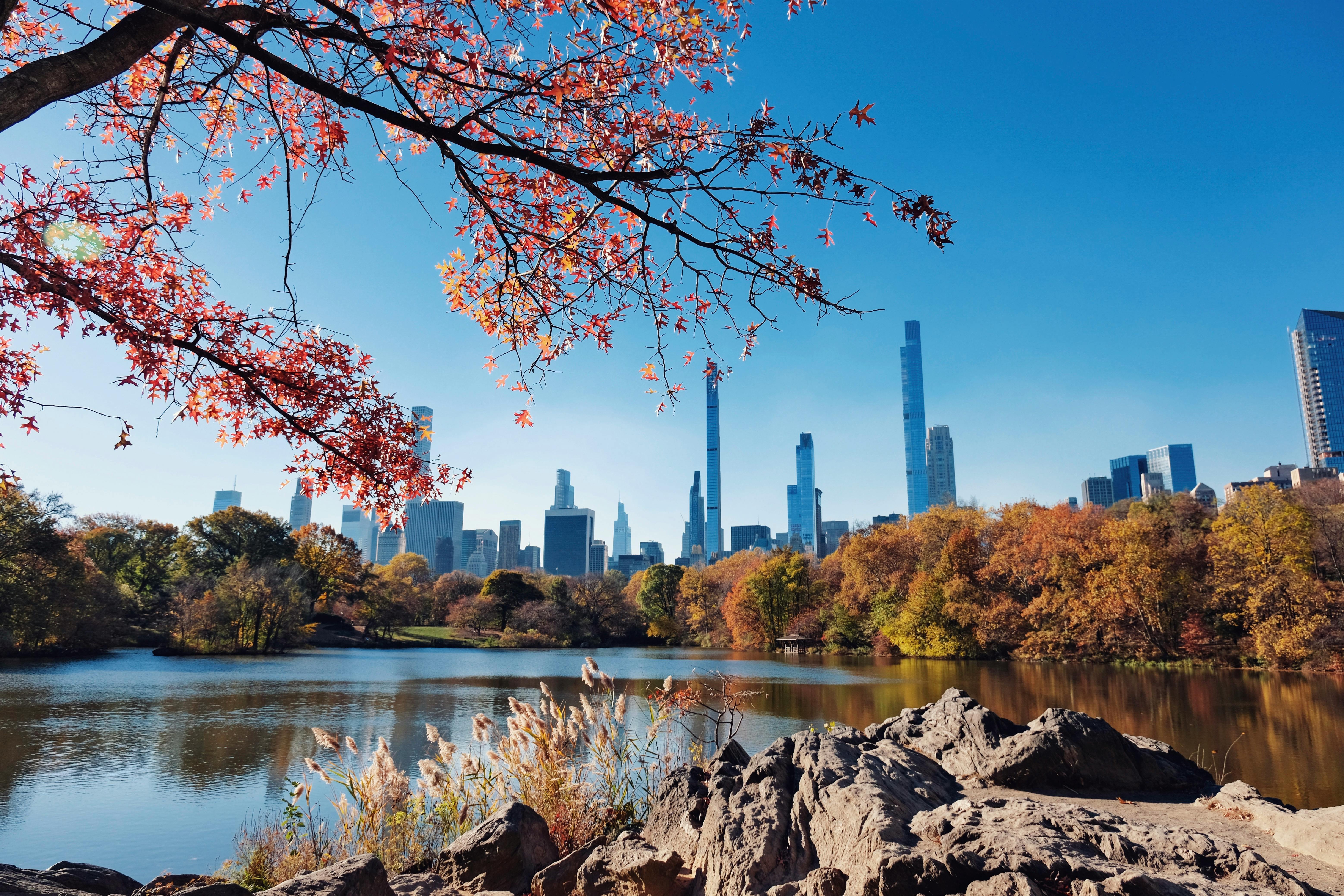 NYC’s Fall Colors Arrive Late—And A Meteorologist Knows Why