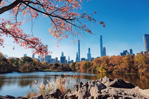 NYC’s Fall Colors Arrive Late—And A Meteorologist Knows Why