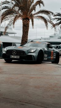 Capture of a sleek Mercedes AMG GT parked under palm trees in Budva, Montenegro marina area.