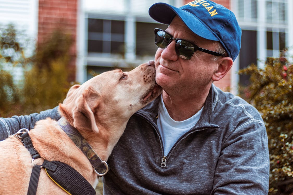 Pet Dog Licking Face of Man