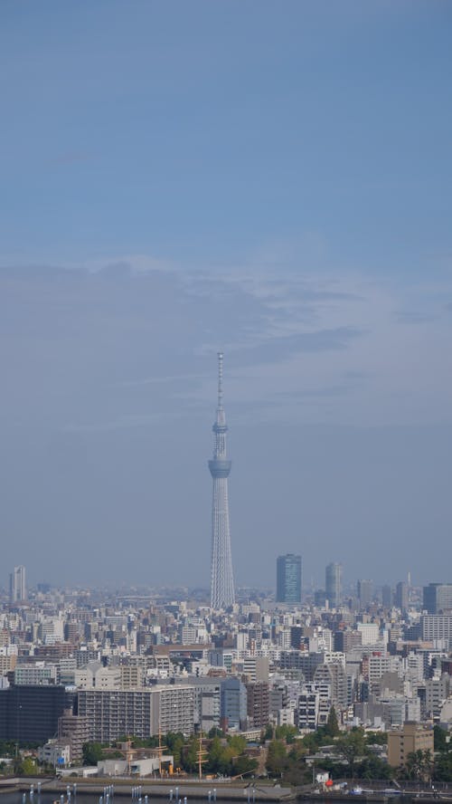 Tokyo Tower in Autumn · Free Stock Photo Tokyo Tower in Autumn · Free Stock Photo