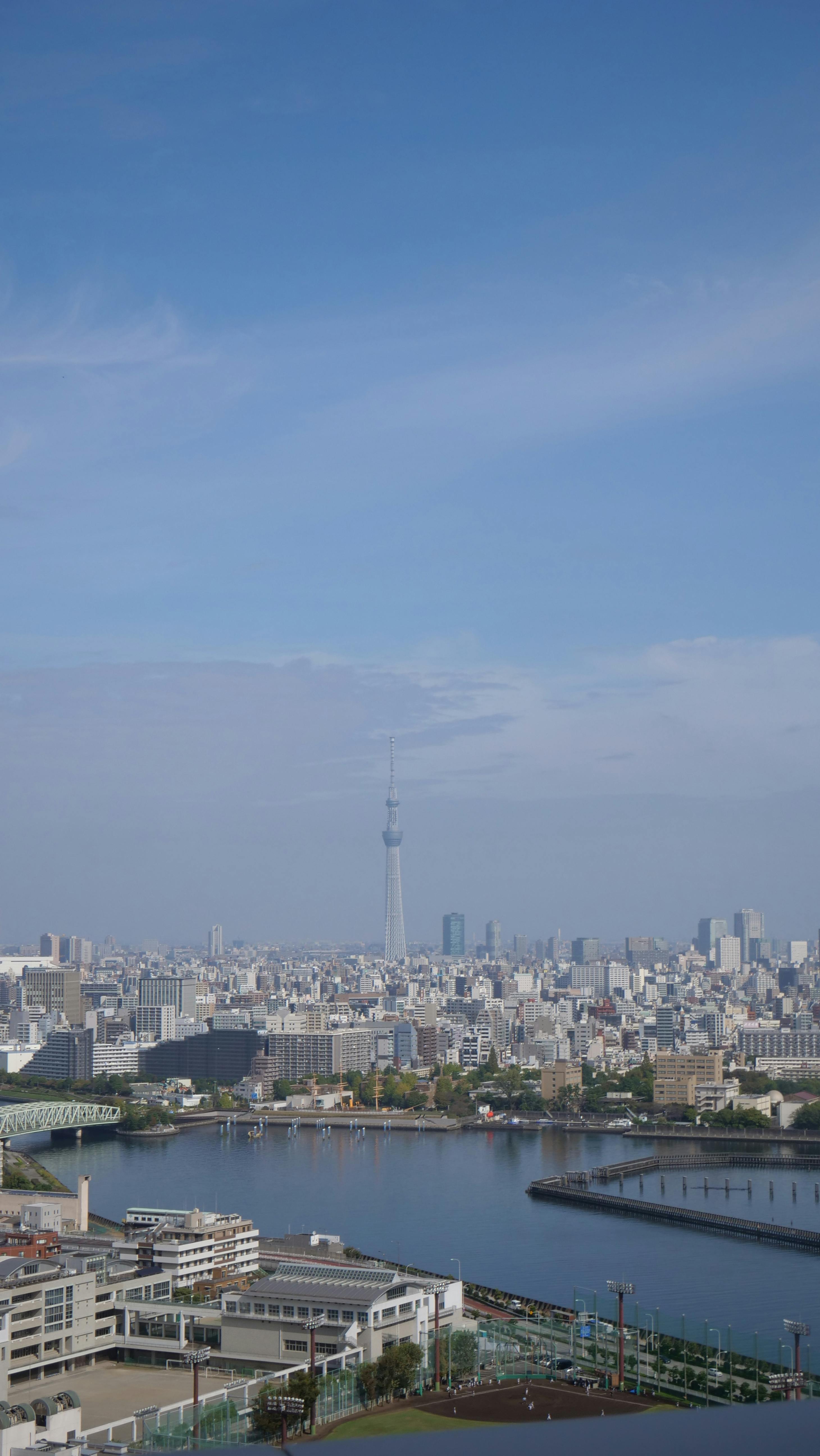 Cityscape of Tokyo · Free Stock Photo