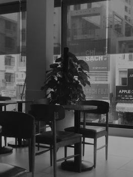 Black and white image of a cozy cafe interior with potted plant and city view.
