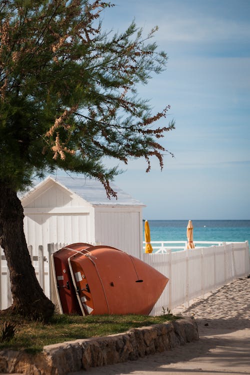 High tree against white wooden fence on sandy coast