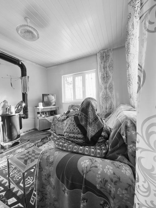 Free A person relaxes in a cozy, traditionally decorated living room with monochrome filters. Stock Photo