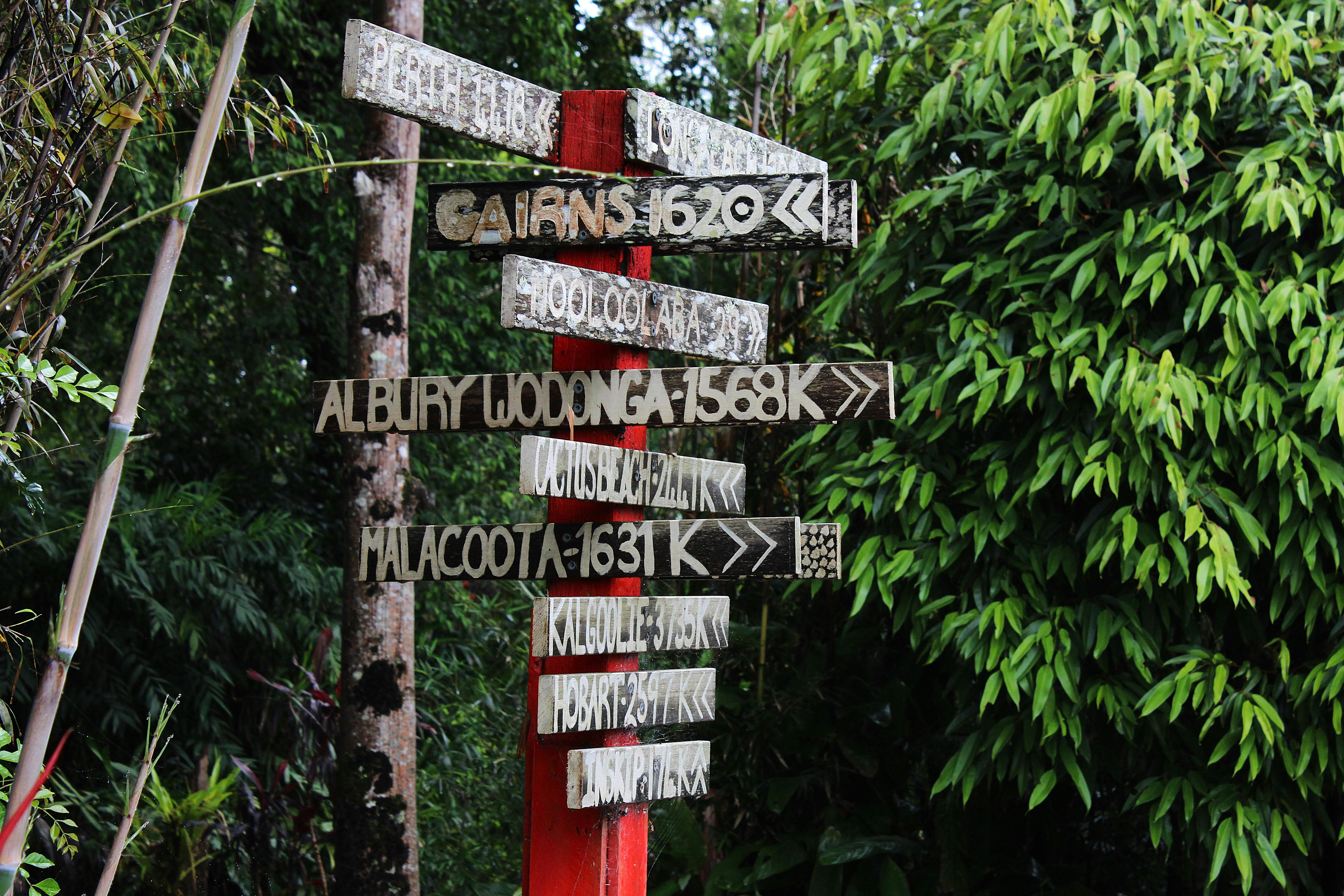 A handcrafted signpost in Montville, Queensland surrounded by vibrant greenery, featuring travel directions.