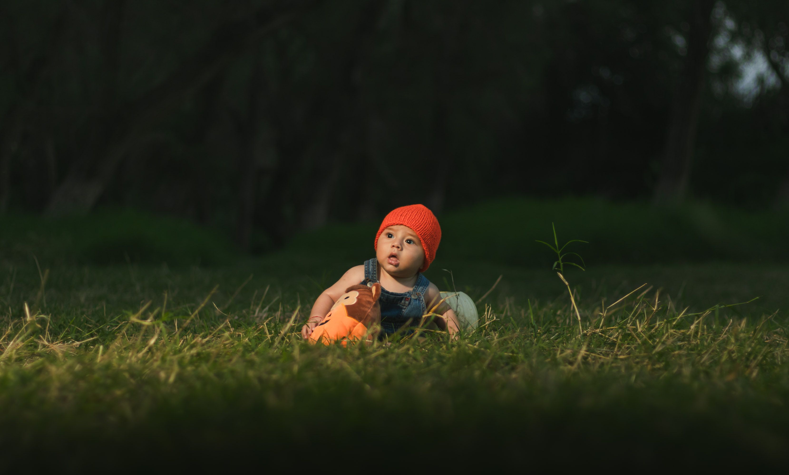 Best Baby Shusher Products: Top Picks for September