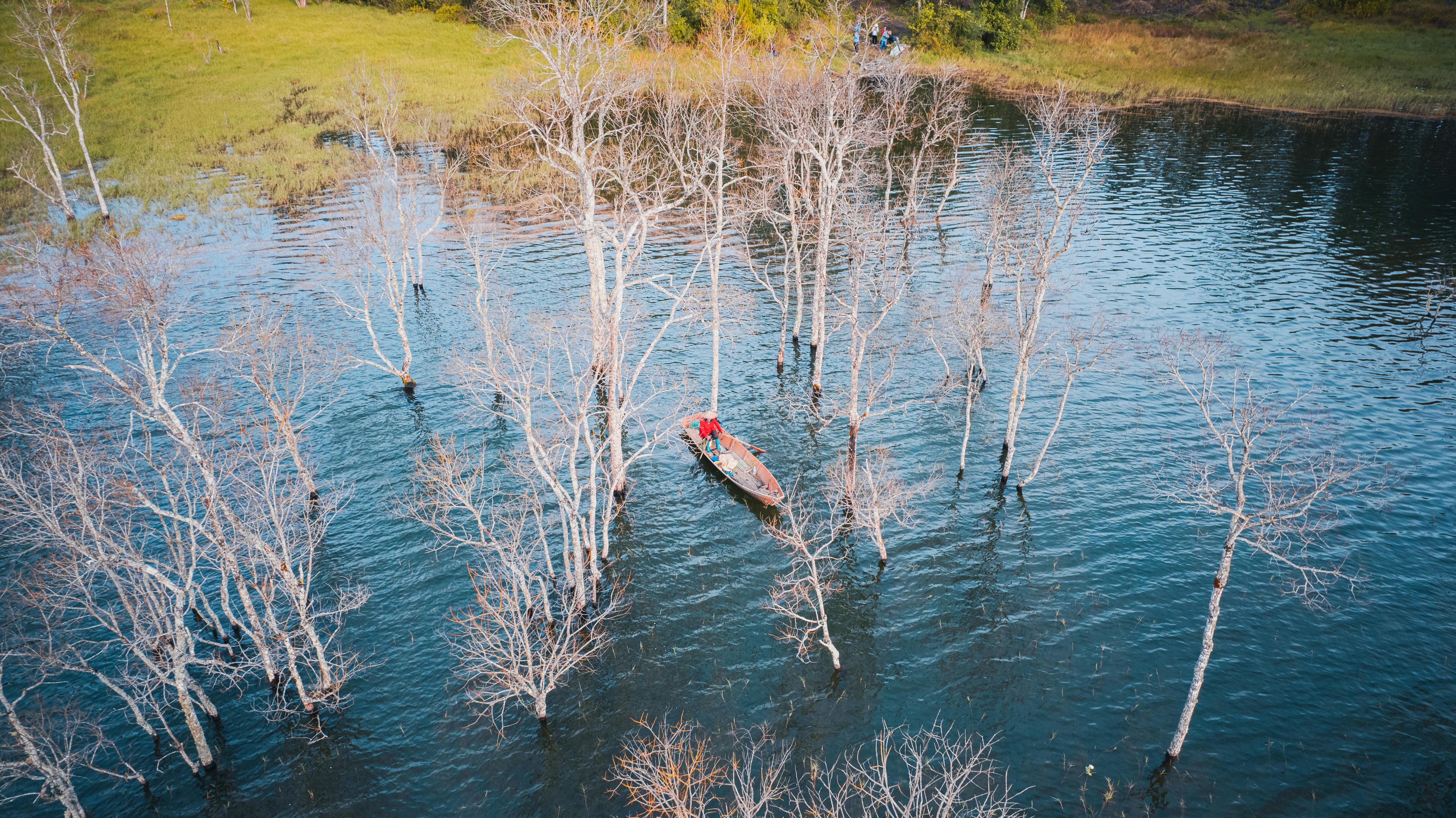 Navigating through Chords⁢ and Progressions