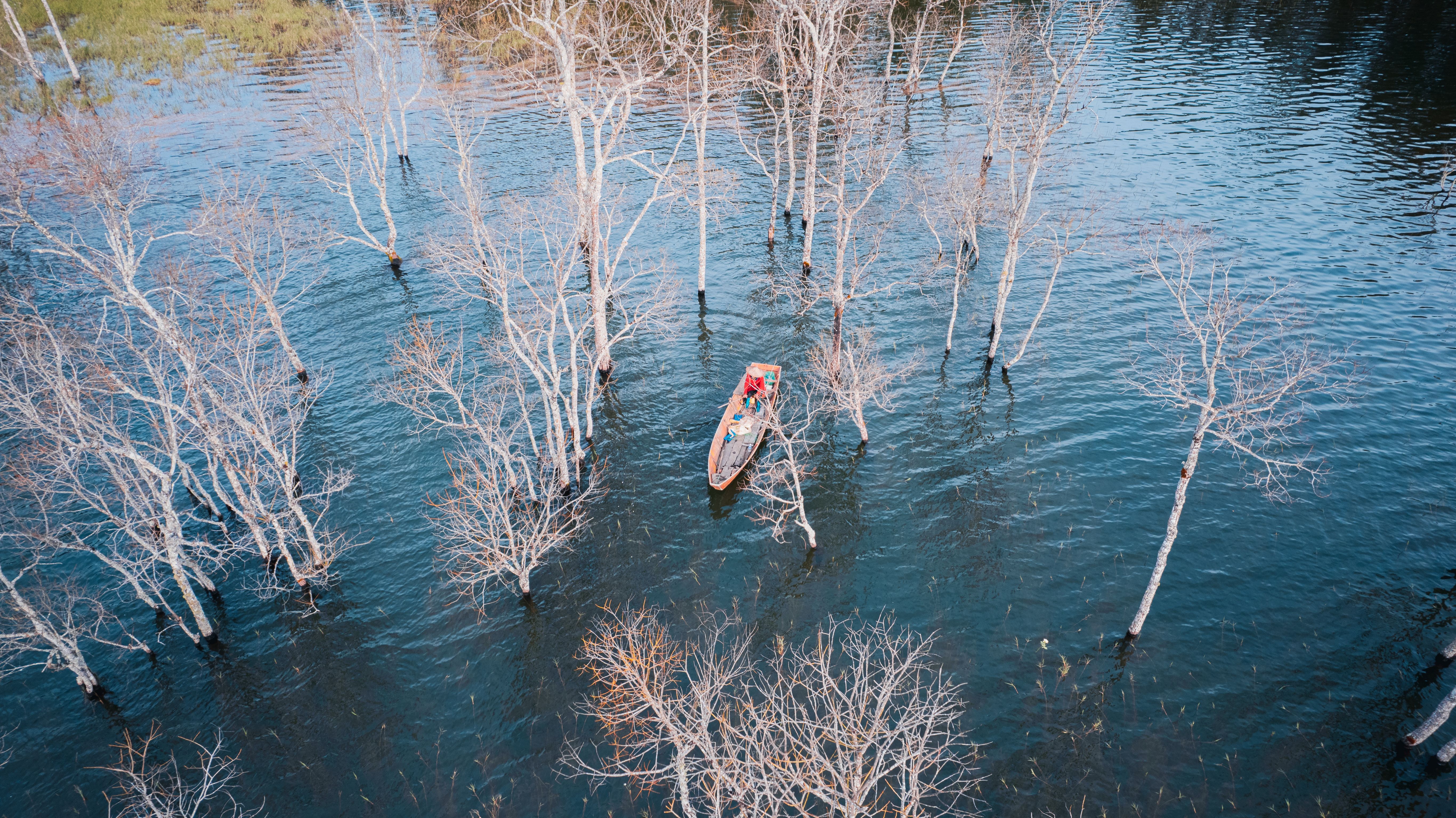 Free Flood Photos Download The Best Free Free Flood Stock Photos Hd
