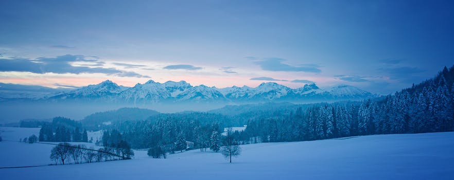 黎明时分，高山宁静，树木与山峰皆覆白雪
