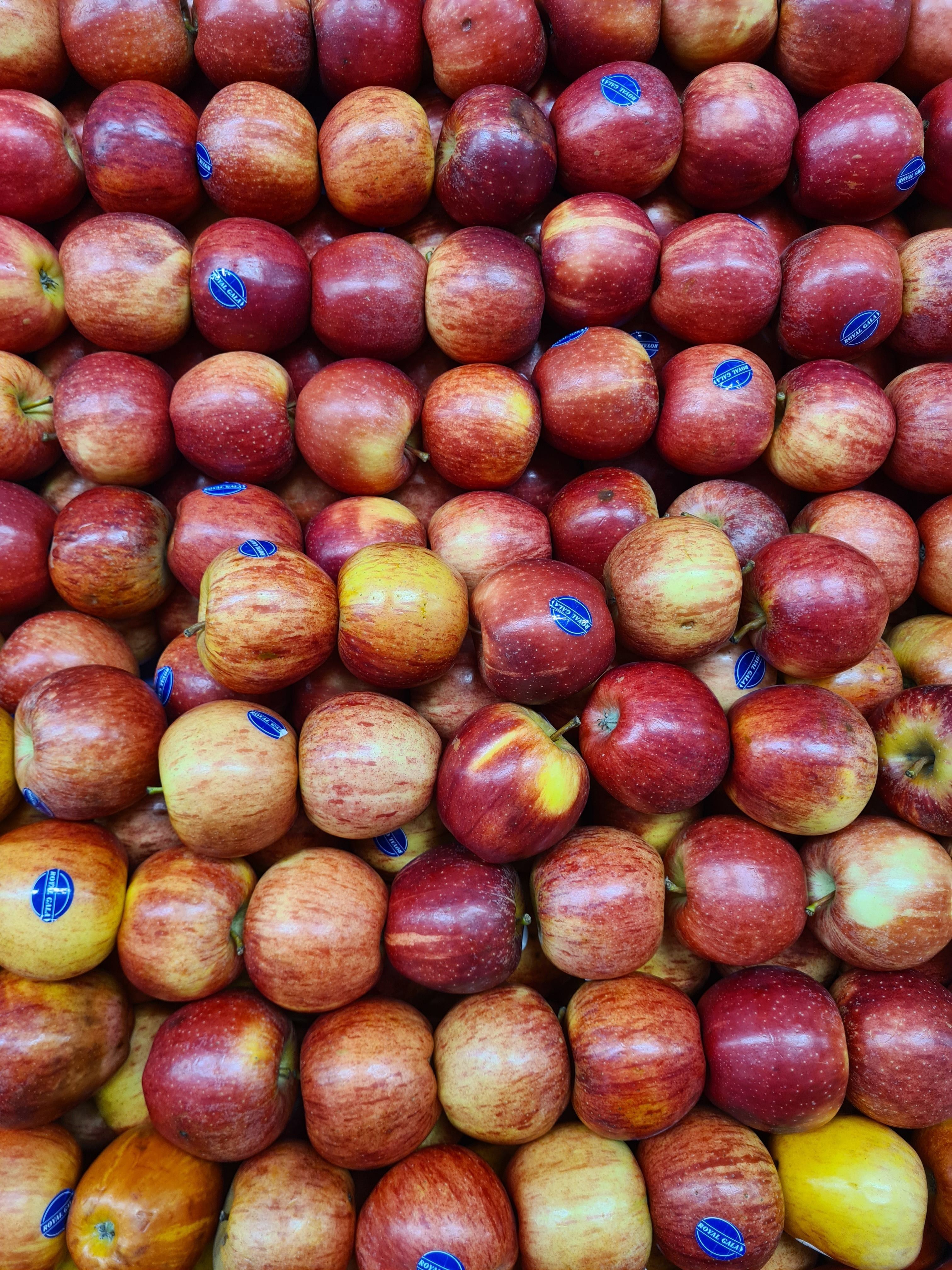 A vibrant and fresh display of ripe red apples in a grocery store setting.