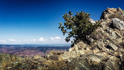 Foto d'estoc gratuïta de cel, muntanyes, natura