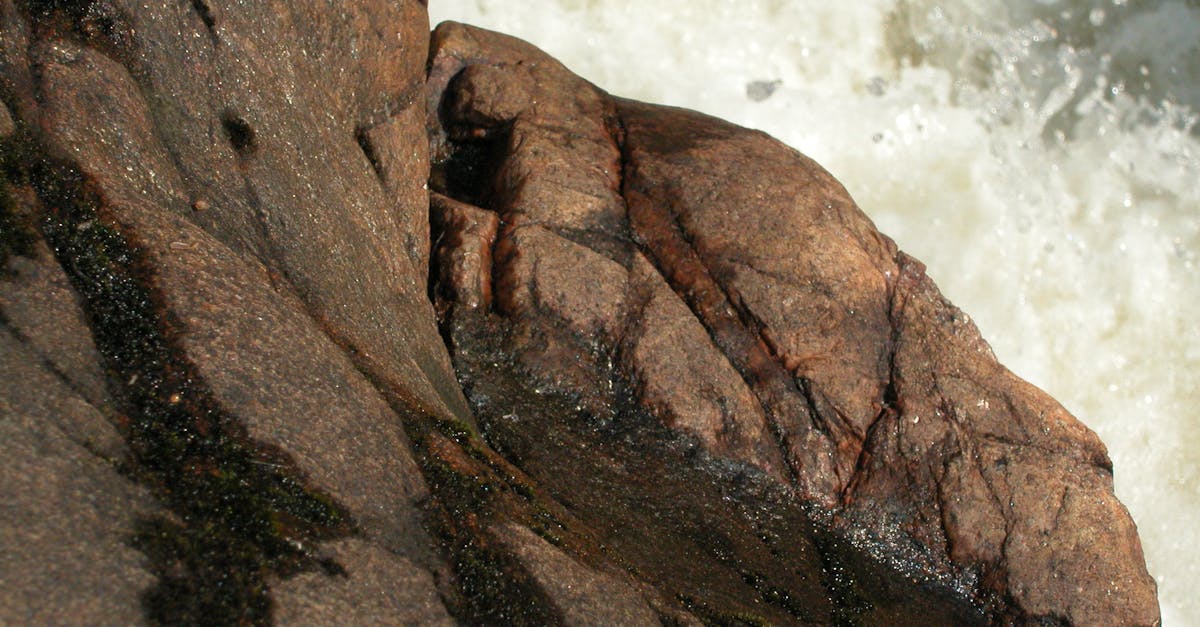 Free stock photo of northern ontario, rapids, river rocks