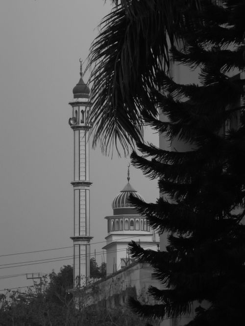 Free Elegant mosque minaret framed by palm tree in a black and white photograph. Stock Photo