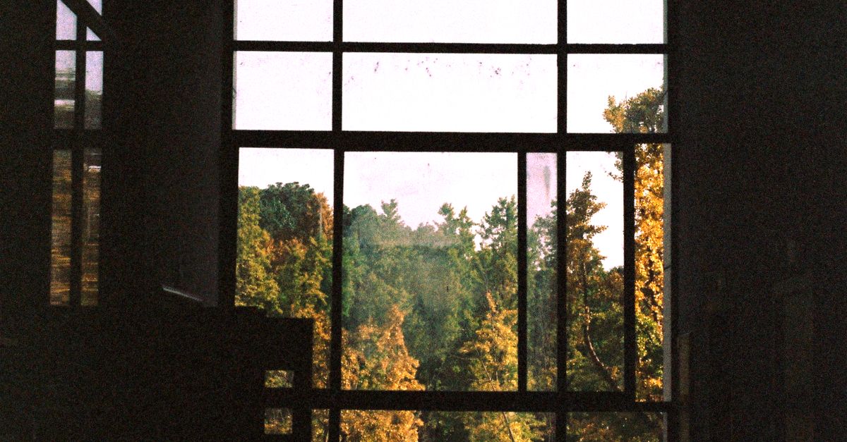 Serene View Through Modern Window Frame · Free Stock Photo