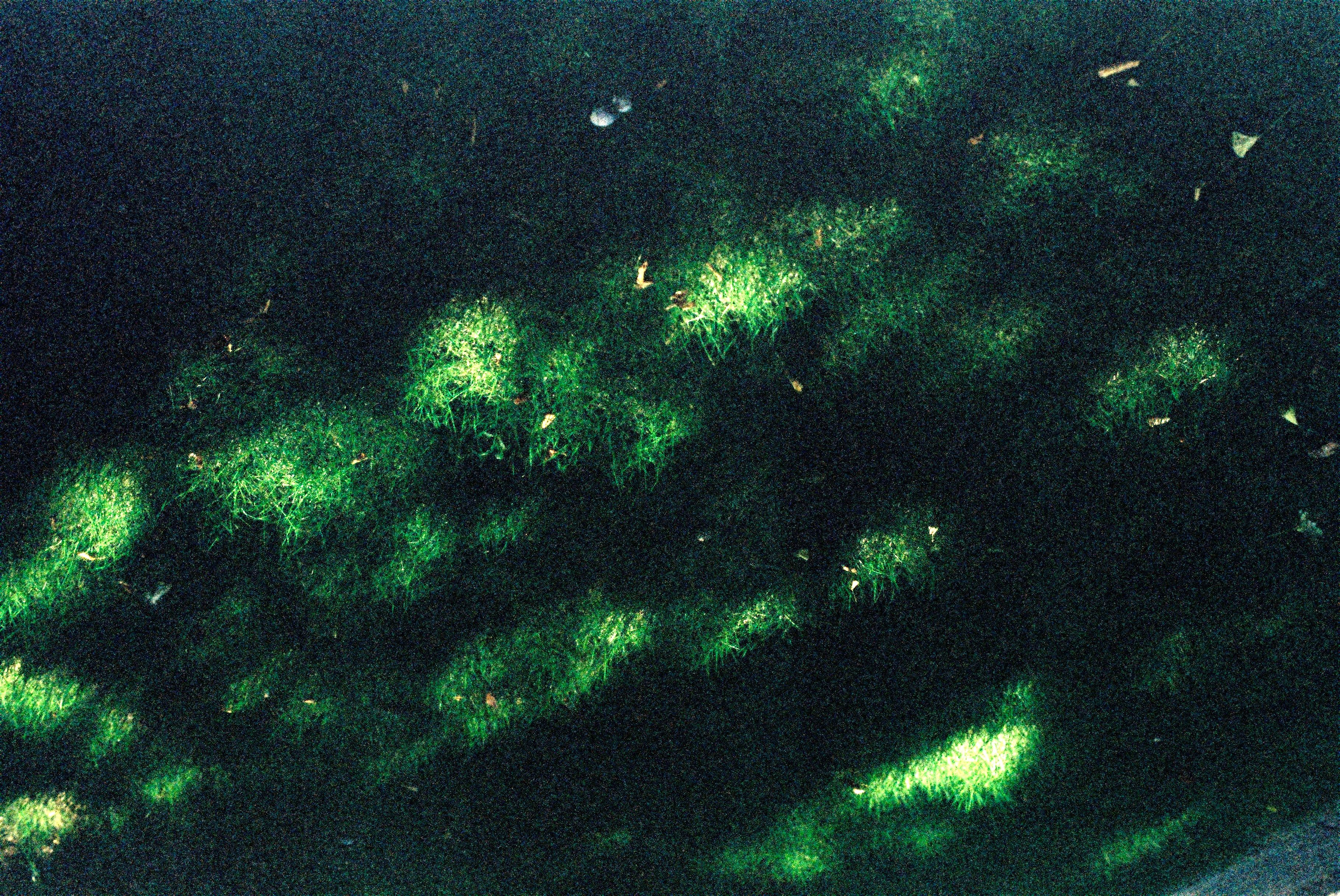Abstract Light Patterns on Grassy Surface · Free Stock Photo