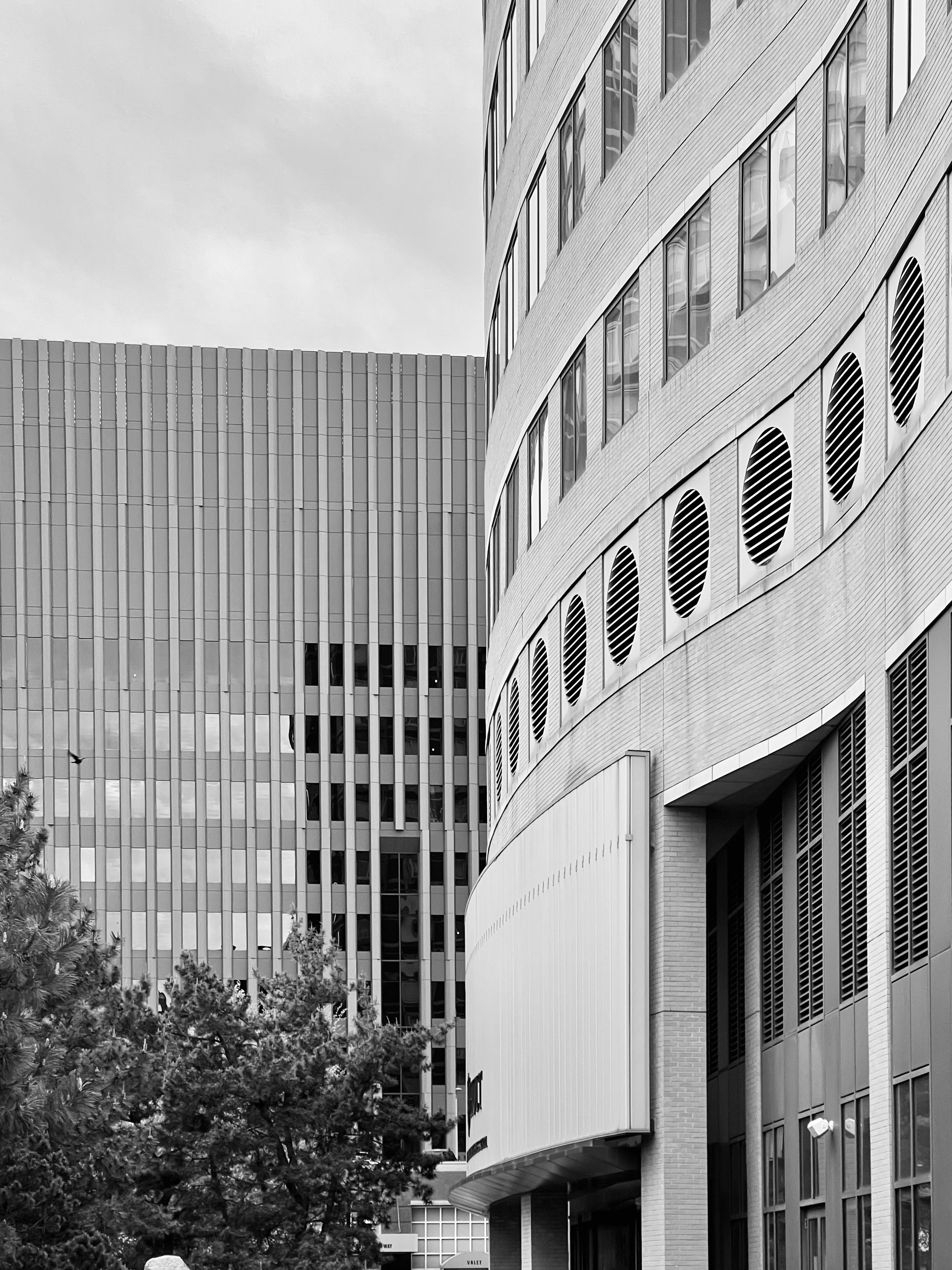 Modern Urban Architecture Black and White Photography · Free Stock Photo
