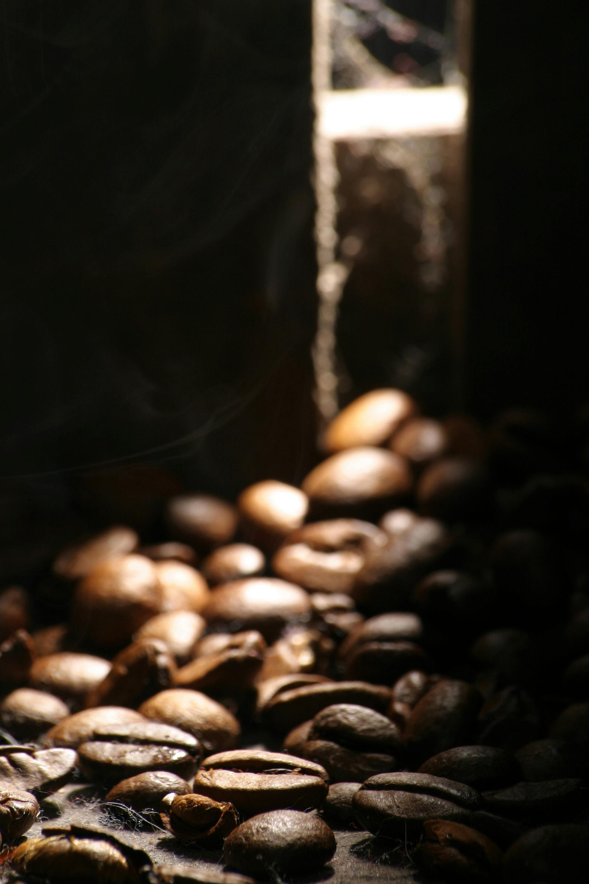 artistic coffee bean arrangement with shadows