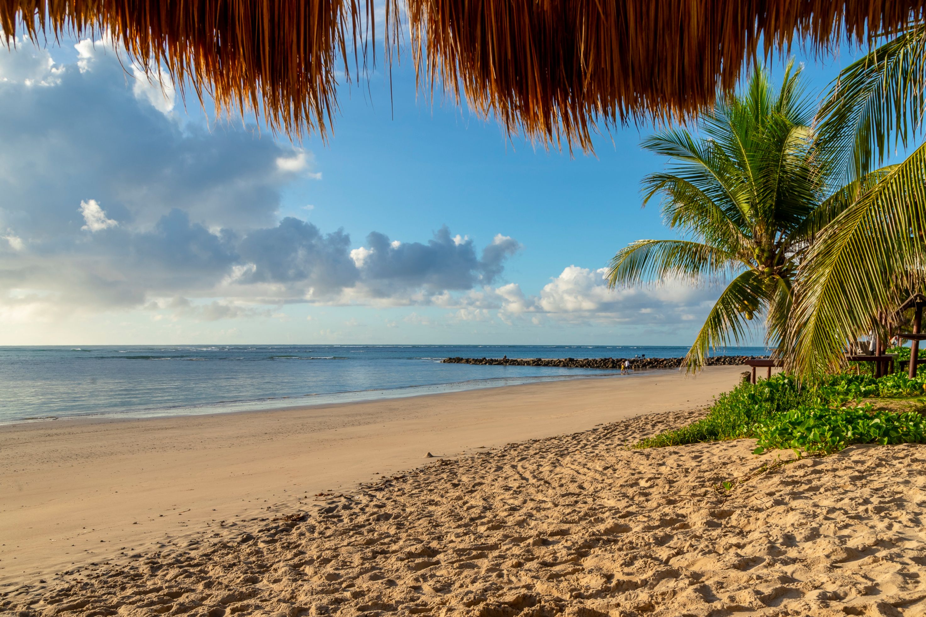 Peaceful tropical beach scene with golden sand and palm trees under a clear blue sky.