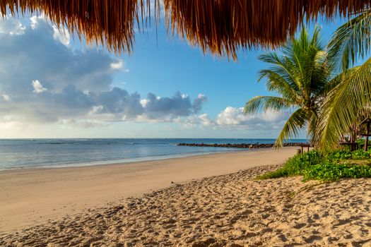 Peaceful tropical beach scene with golden sand and palm trees under a clear blue sky.