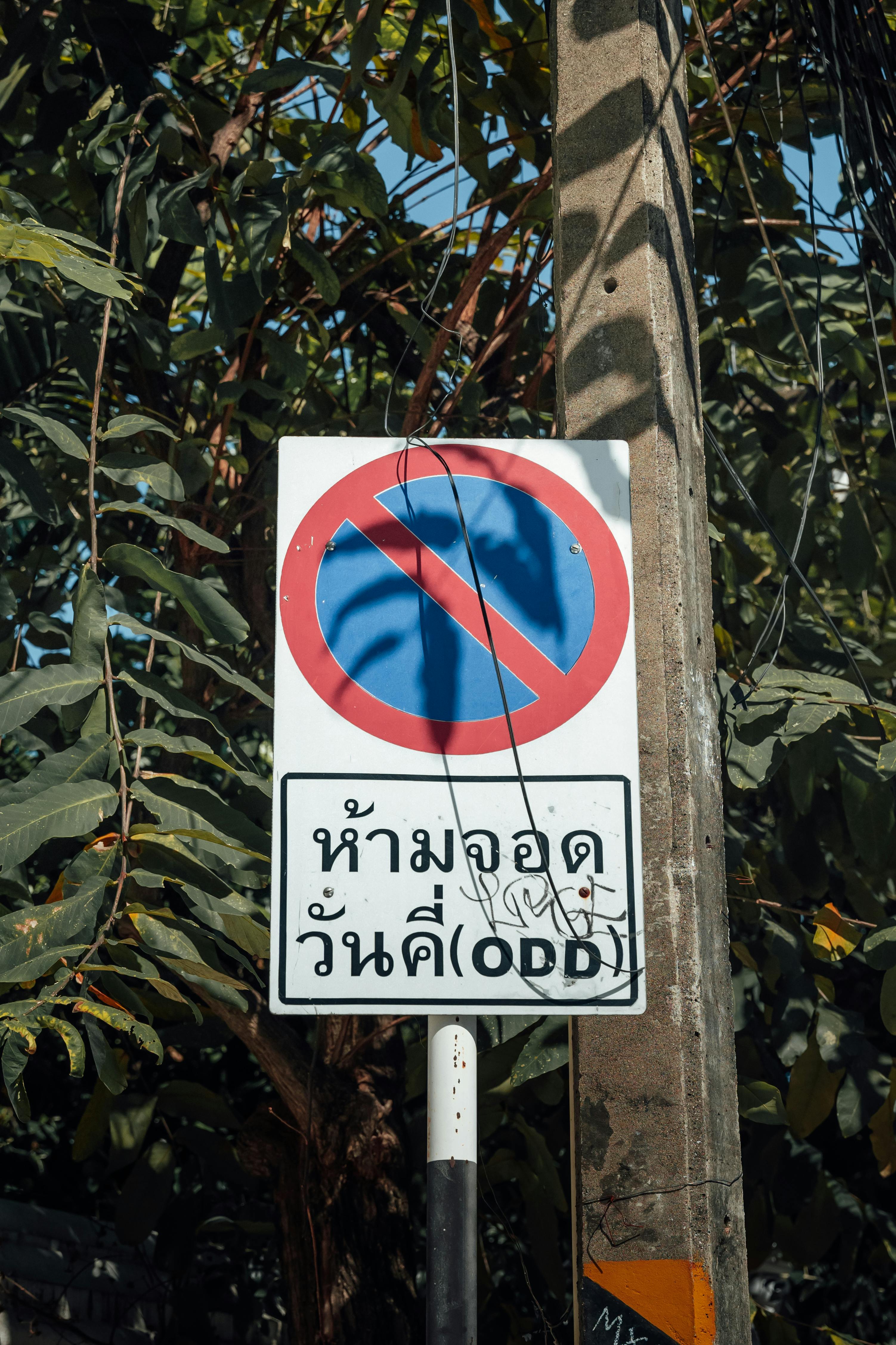 Gigi Becali dezvăluie noi transferuri la FCSB după adoptarea legii Novak