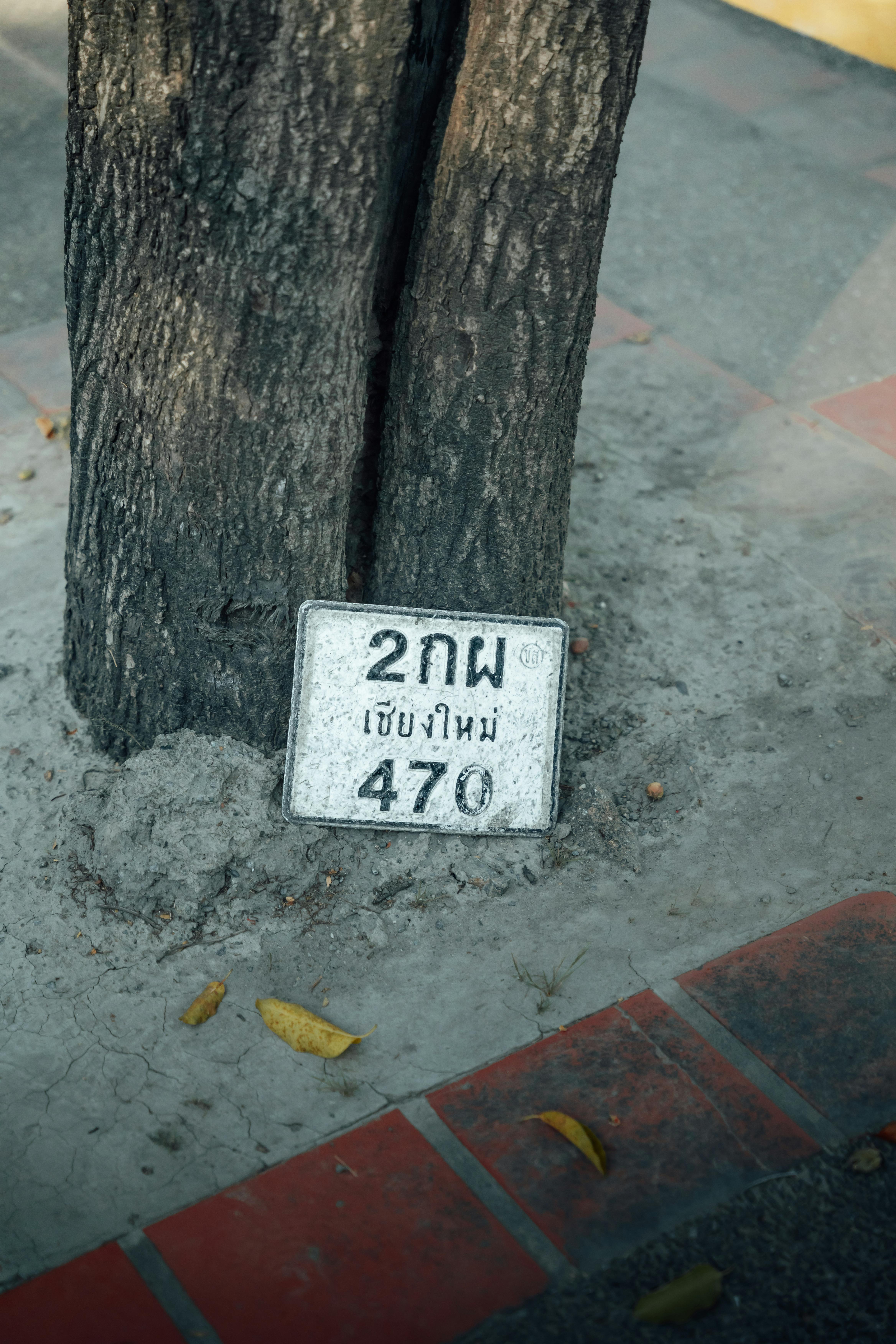 Gratuit Marcator de kilometri în Chiang Mai, Thailanda, lângă un trunchi de copac, în timpul zilei. Fotografie de stoc