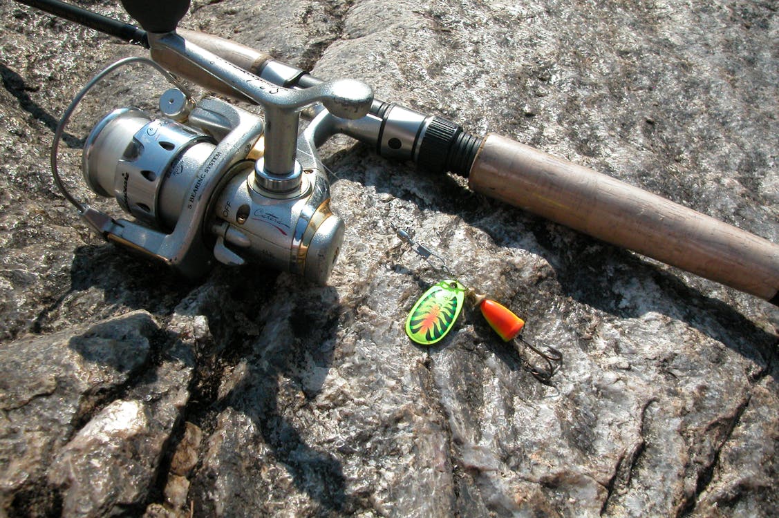Free stock photo of fishing, fishing rod