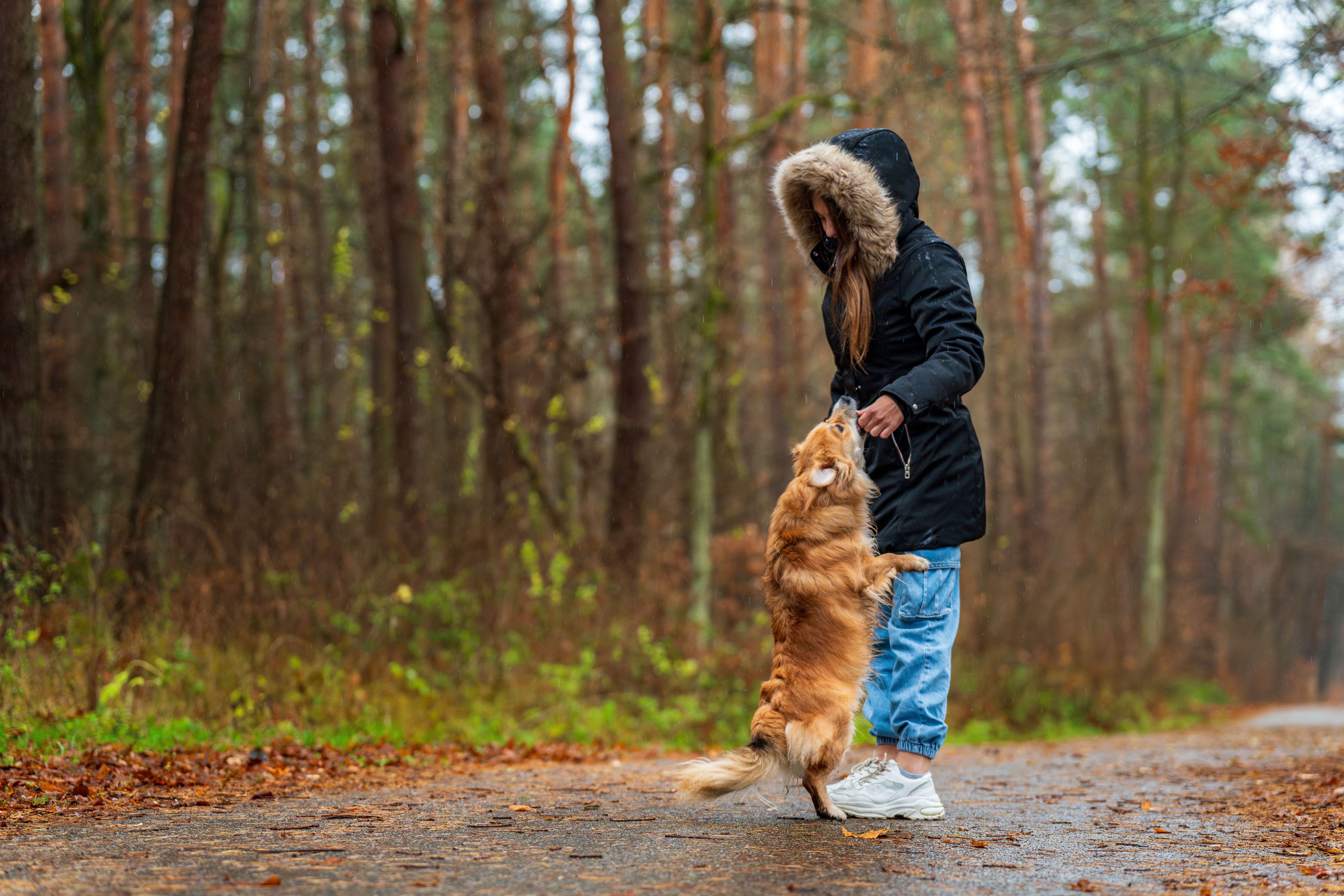 Woman and Dog Enjoying a Walk in the Woods · Free Stock Photo