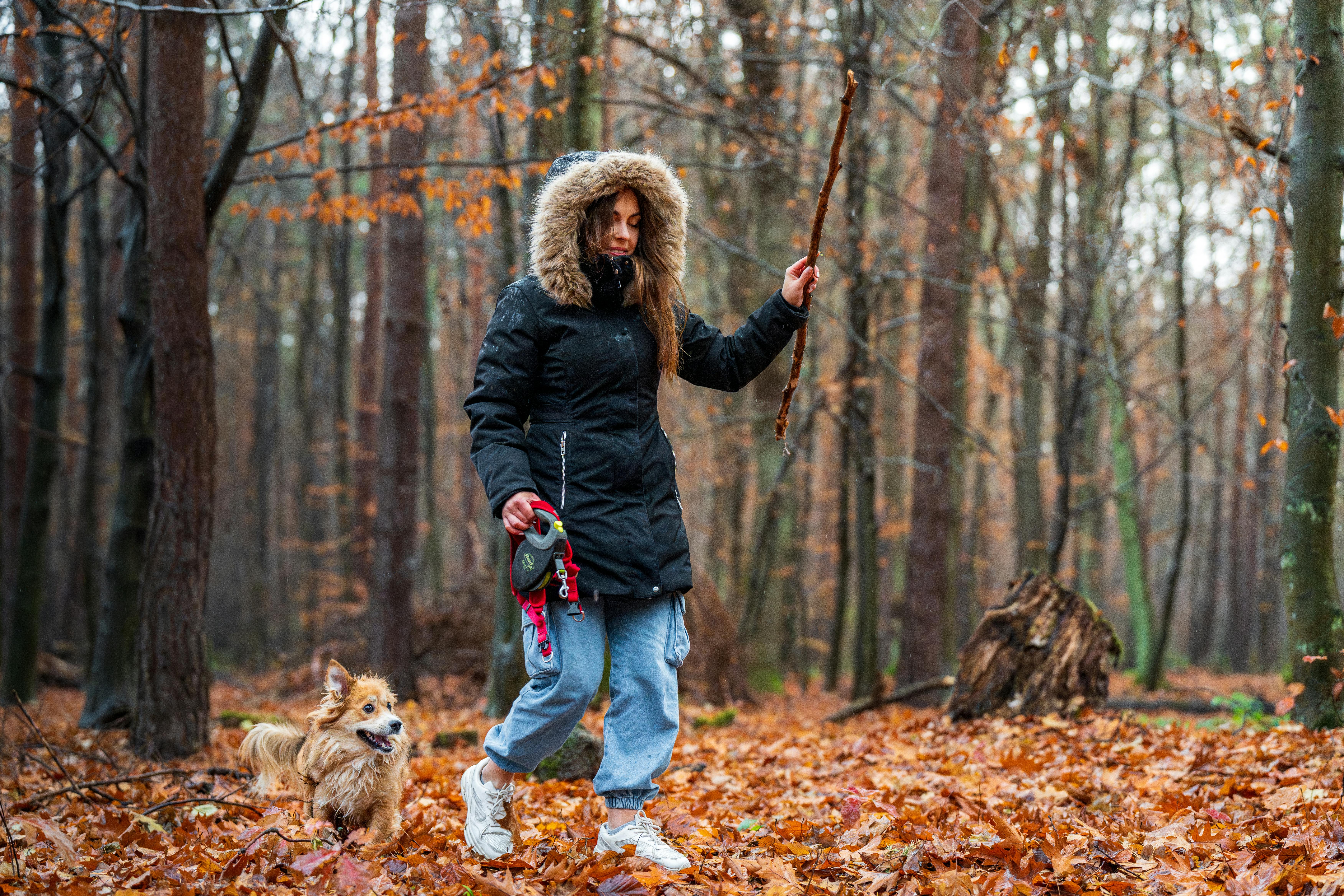 pet lifestyle pets lifestyle — Photo by Michał Robak on Pexels