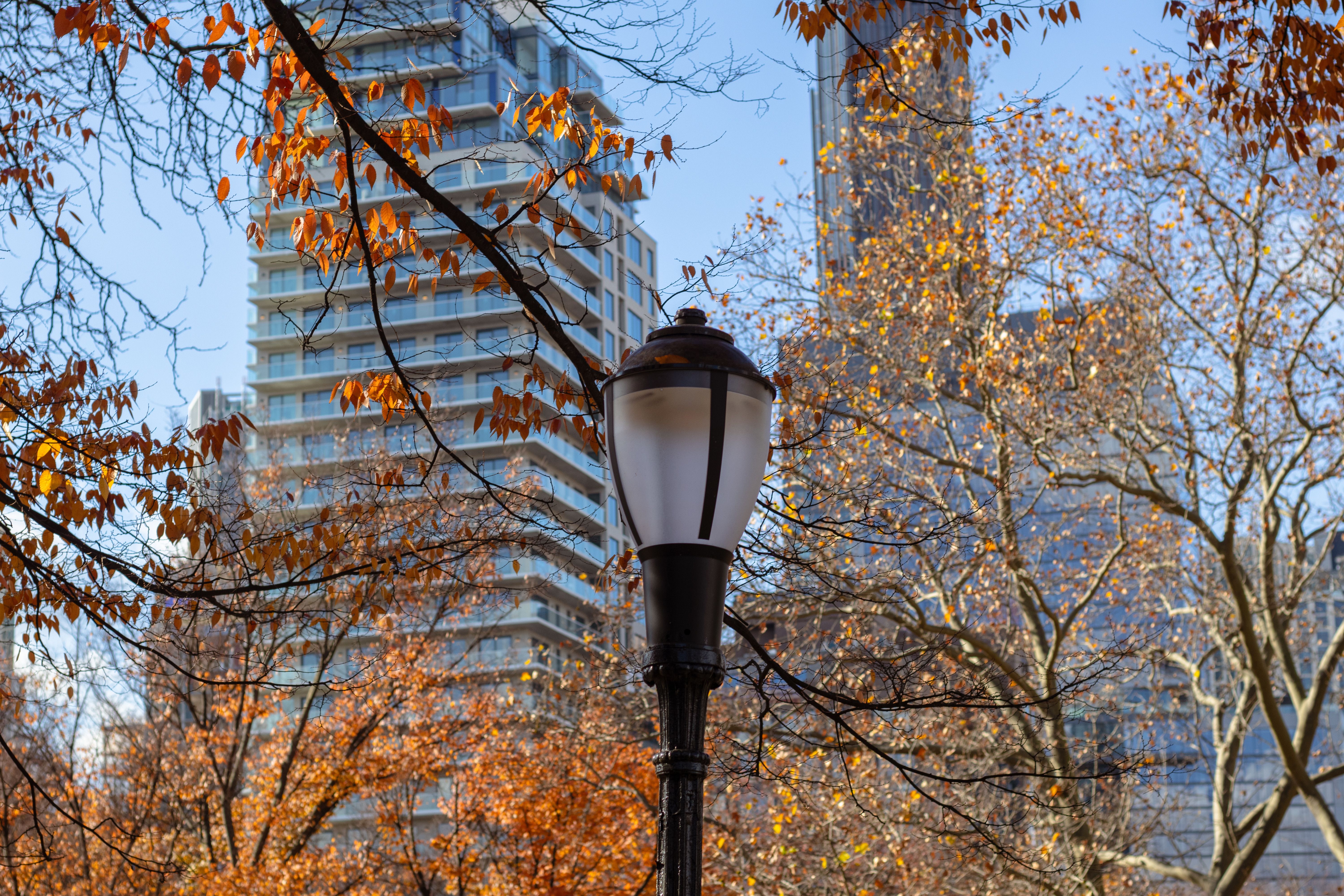 Autumn Cityscape with Lamppost and Skyscrapers · Free Stock Photo