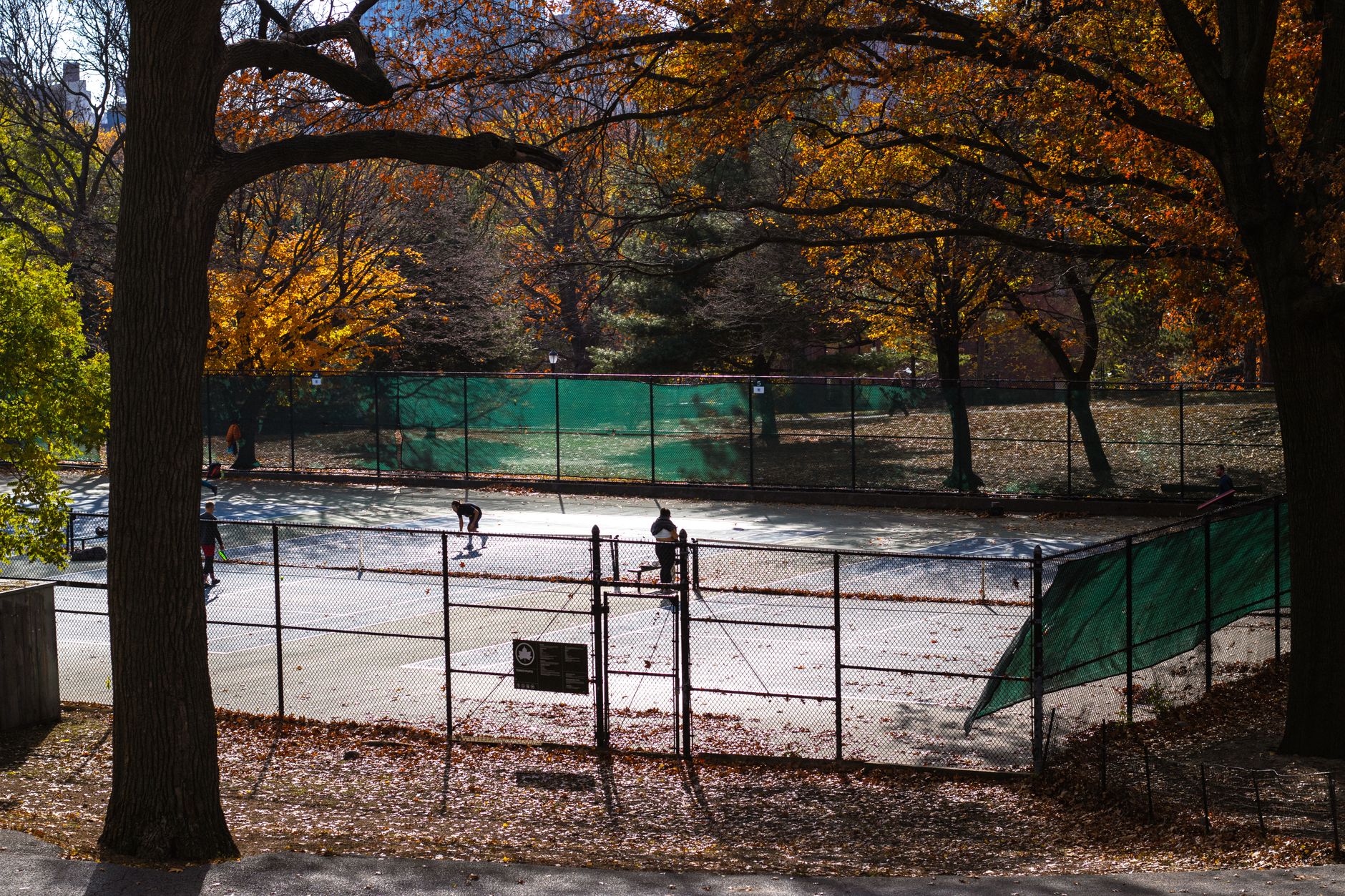 A scenic autumn tennis match on an outdoor court surrounded by vibrant fall foliage.