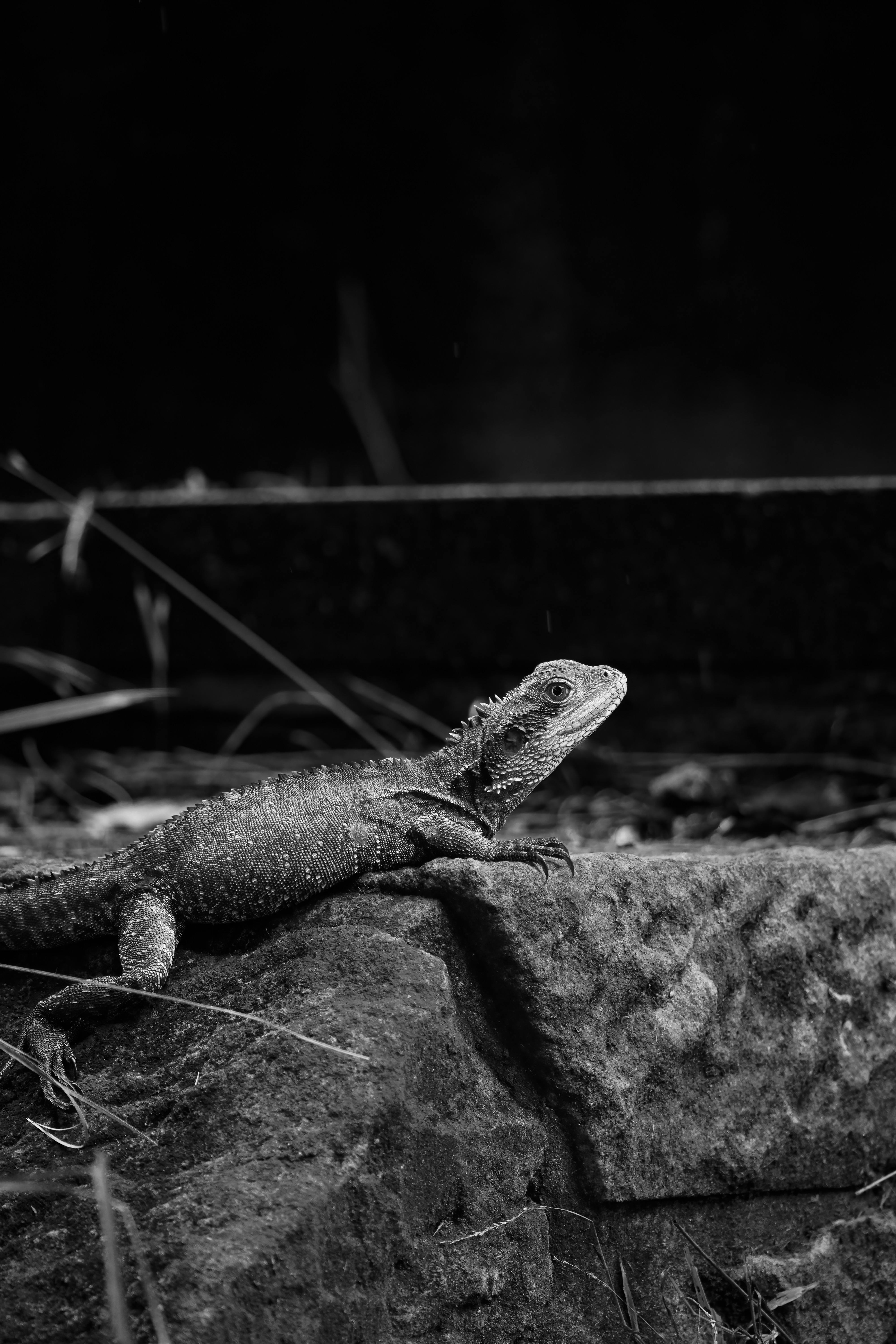 Domowe SPA staje się dostępne - Ilustracja do artykułu