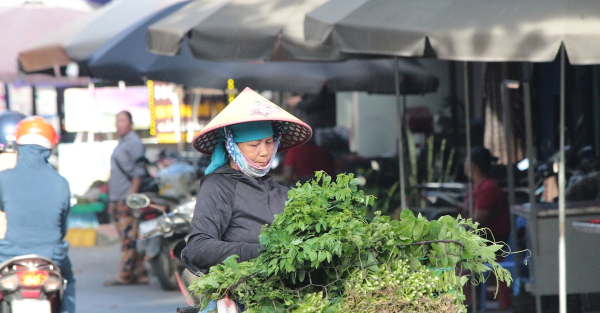 楊柳颱風來襲 林內木瓜農忙著加固果樹保收成