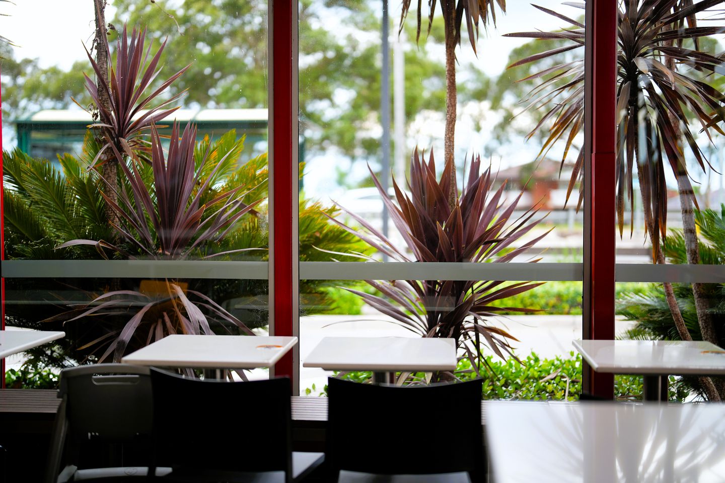 A natural-light café photography session in Sydney
