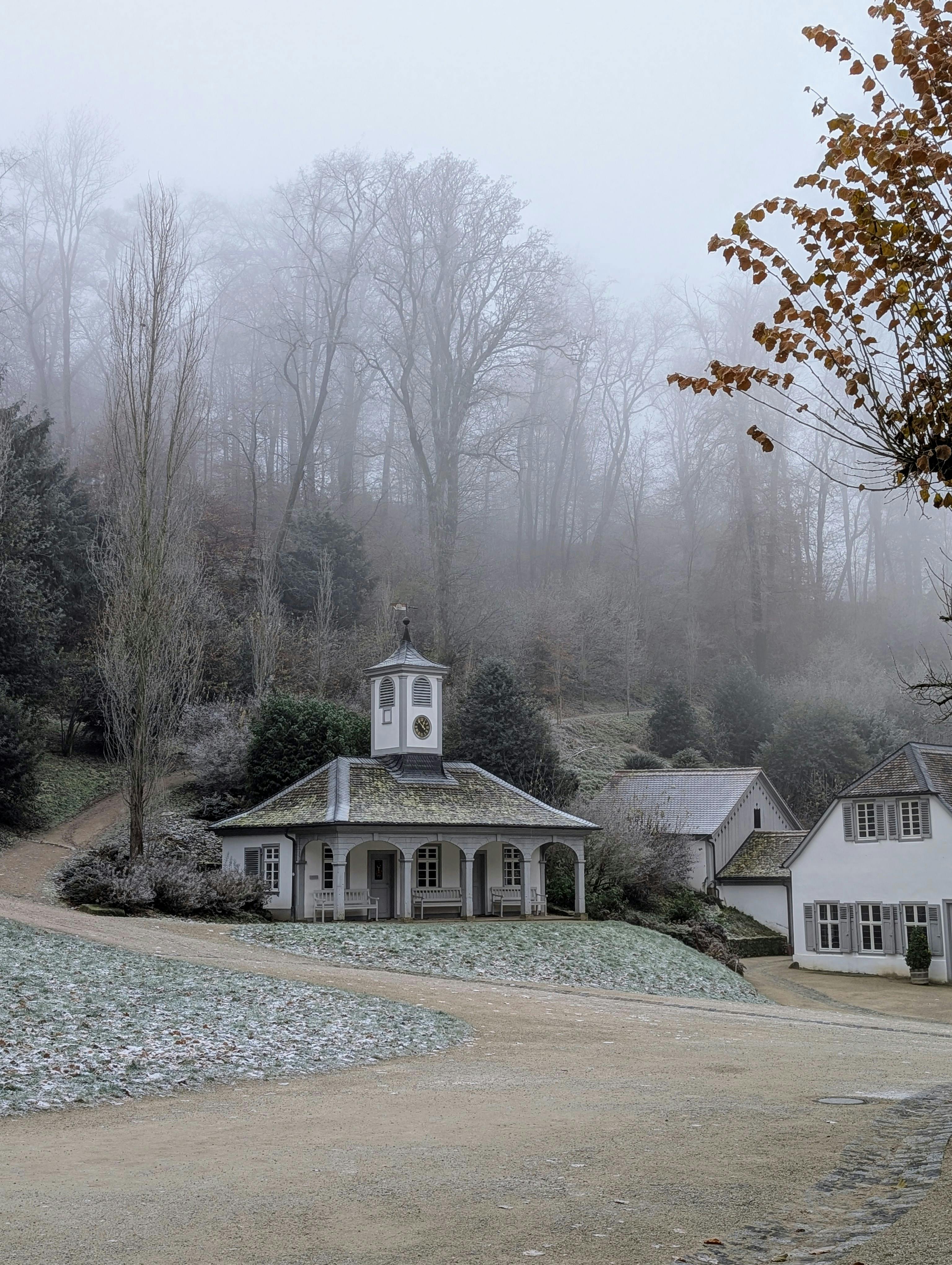 A foggy winter morning showcasing historic architecture in Auerbach, Germany.