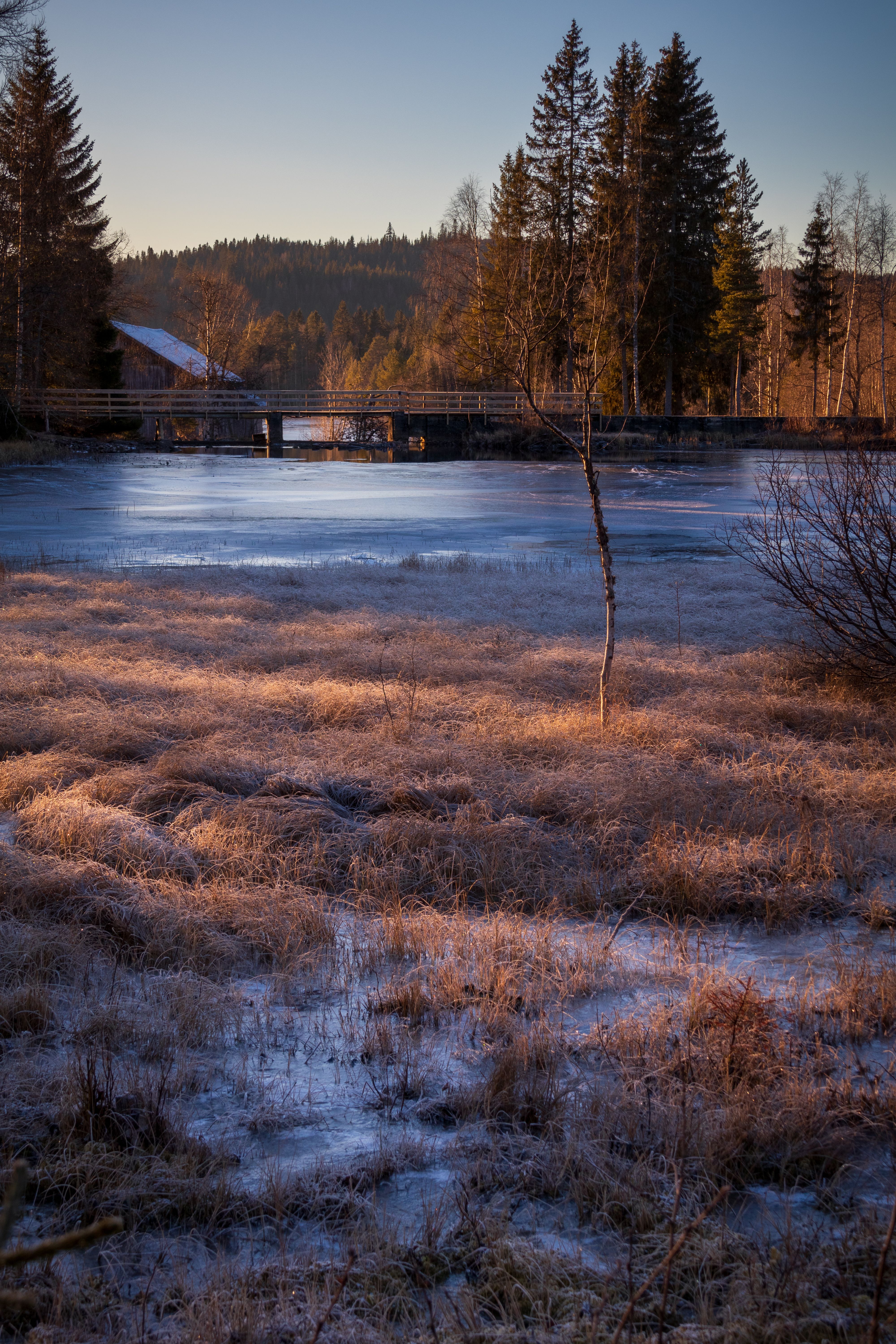 Serene Winter Landscape with Frozen River and Bridge · Free Stock Photo