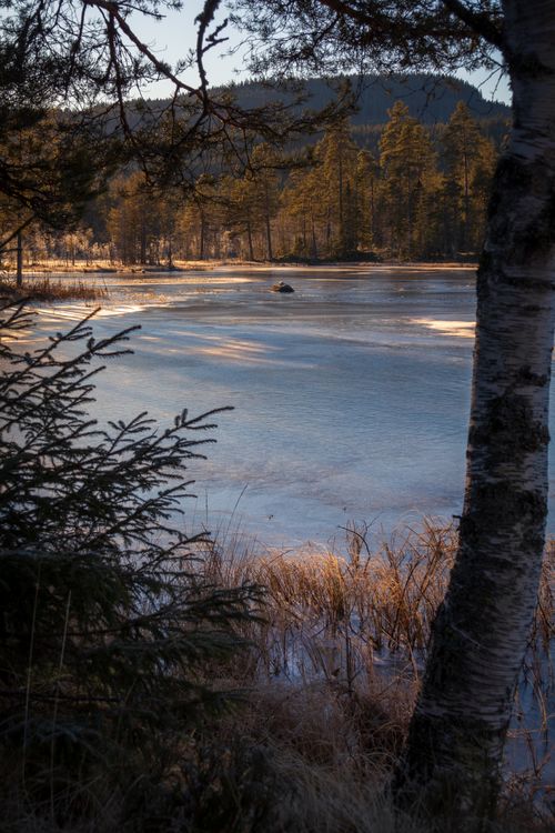 Free A serene winter landscape featuring a frozen lake surrounded by trees at sunset. Stock Photo