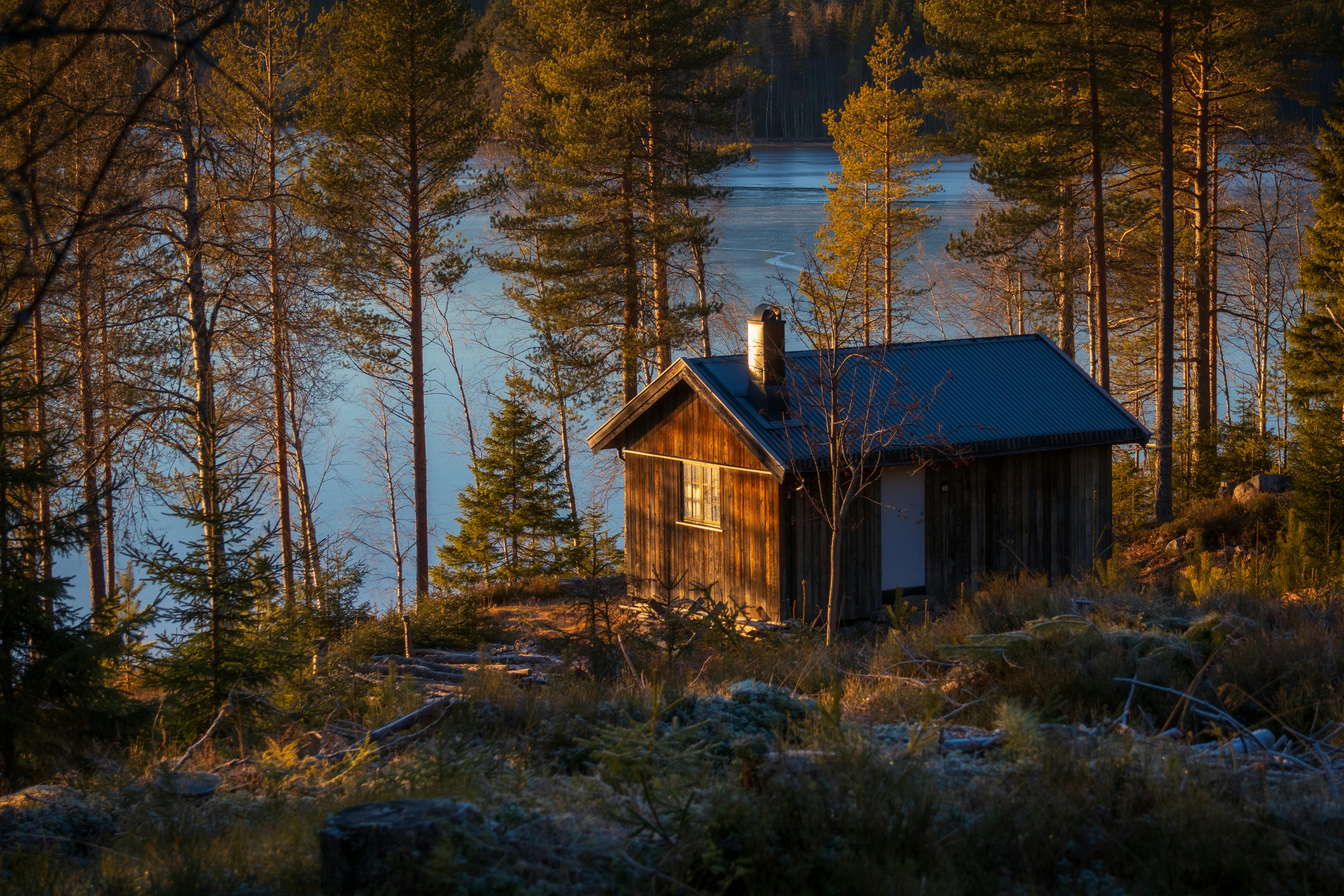 Lakefront cabin with a fenced yard and a dog running toward the water - alabama lakefront pet friendly