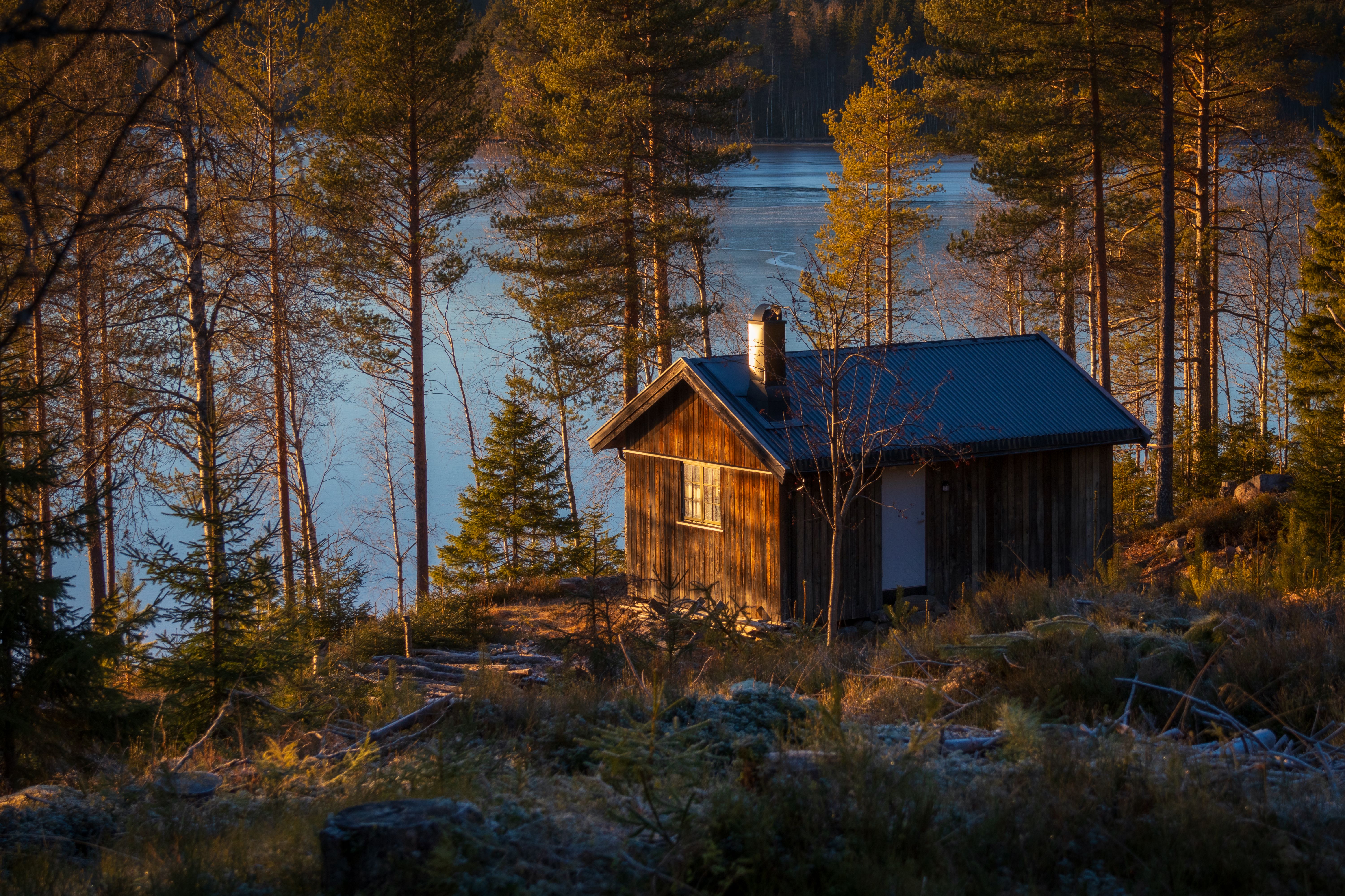 Tranquil Cabin by the Lake in Forest Setting · Free Stock Photo