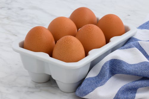 Free Six Brown Eggs in Tray Stock Photo