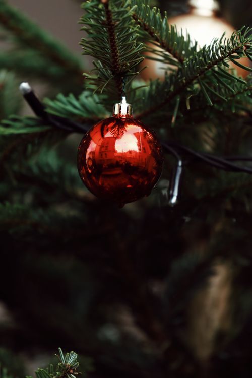 Free Close-up of a red ornament hanging on a Christmas tree, capturing the warmth and charm of the holiday season. Stock Photo