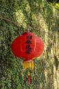 Traditional Red Chinese Lantern in Outdoor Setting