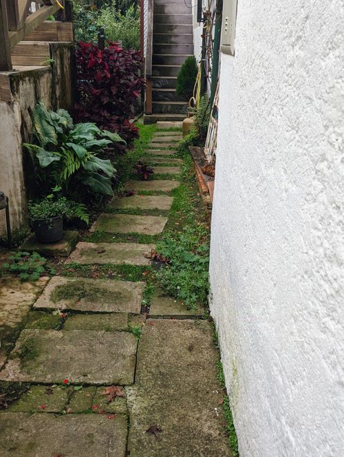 Free A narrow stone pathway bordered by lush greenery and vibrant shrubs, leading to stairs. Stock Photo