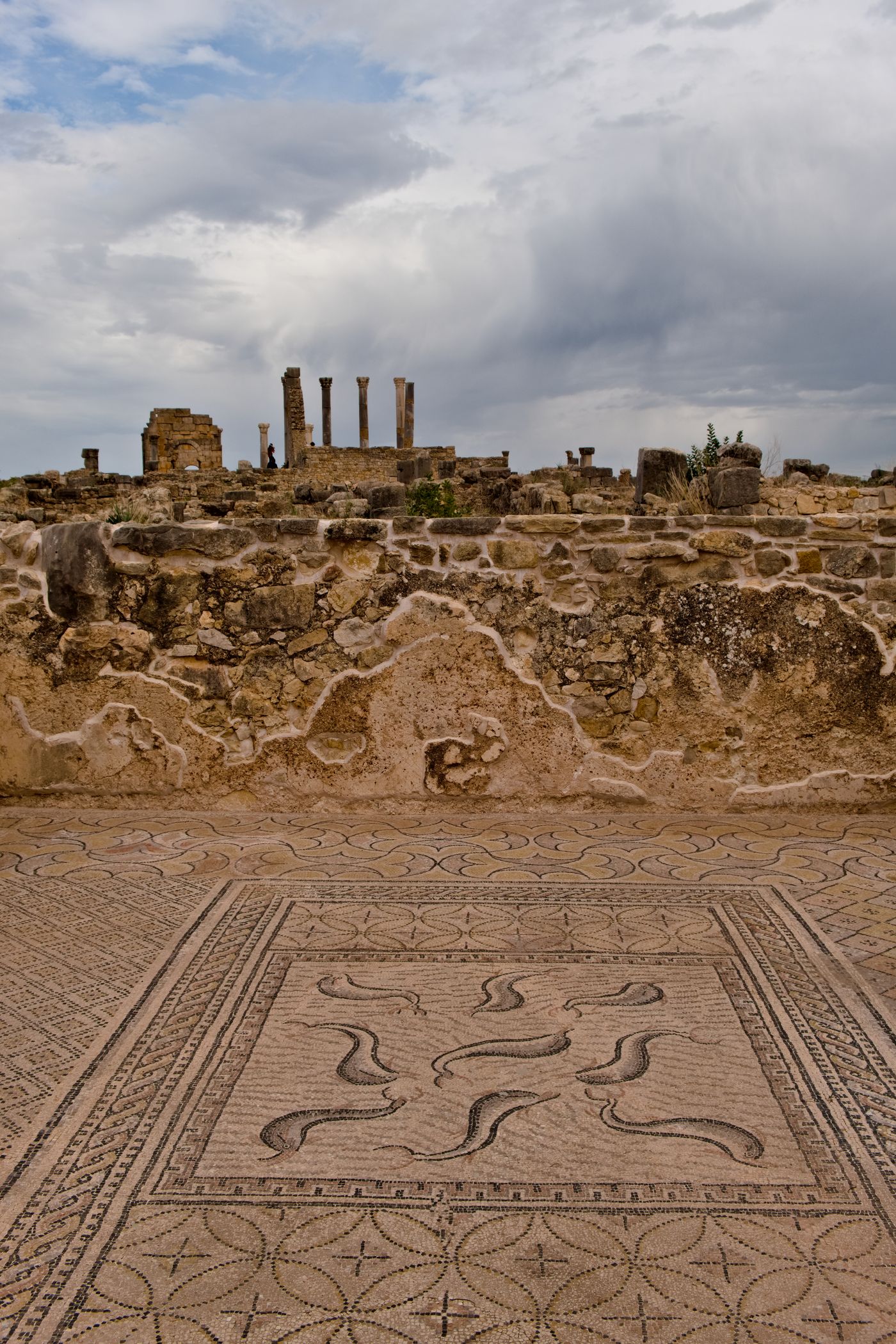Volubilis & Meknes Day Trip — real photograph of North, Morocco