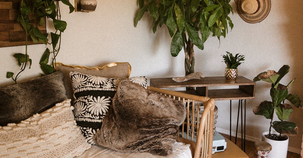 How to clean velvet sofa