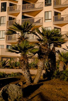 探索豪华度假村，这里棕榈成荫，现代阳台林立，是夏季度假的理想之选