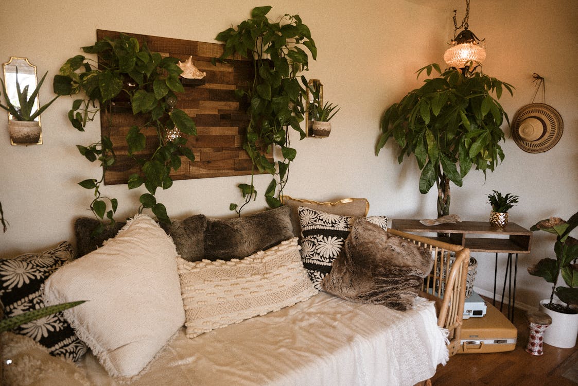 Bohemian style home decorated with lush hanging plants